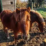 La Melazza Bauernhof Rom
